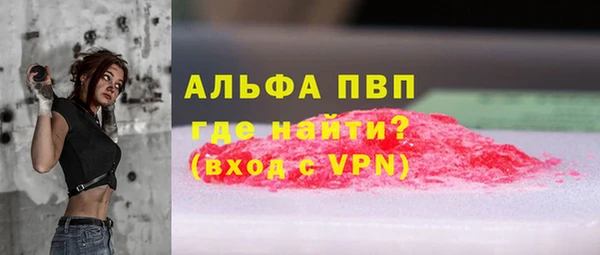 ГАЛЛЮЦИНОГЕННЫЕ ГРИБЫ Туринск