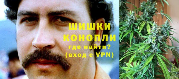 apvp Володарск