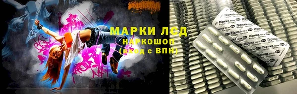 ГАЛЛЮЦИНОГЕННЫЕ ГРИБЫ Волоколамск