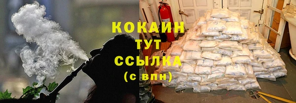 стаф Тында