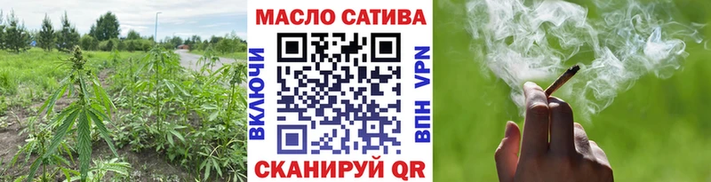 ТГК Wax  Купить  Прохладный 